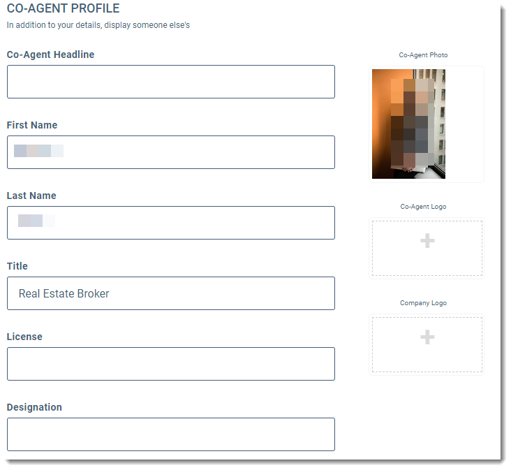 Co-Agent Profile.png