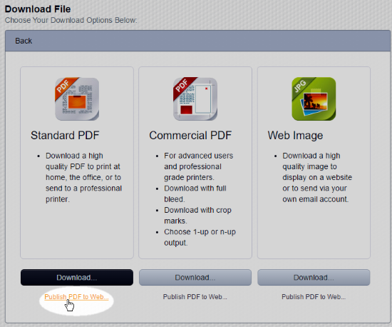 PublishPDFtoWeb.png